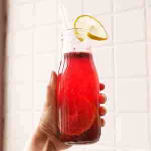 【檸檬水做法】檸檬水做法多變，結合無糖蔓越莓乾更對味！