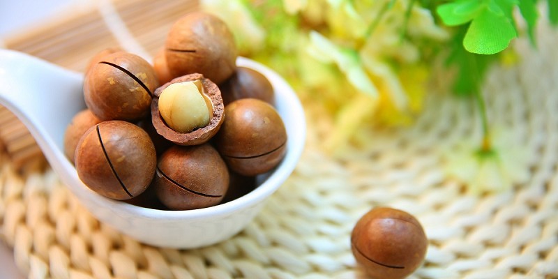 堅果種類10-夏威夷豆